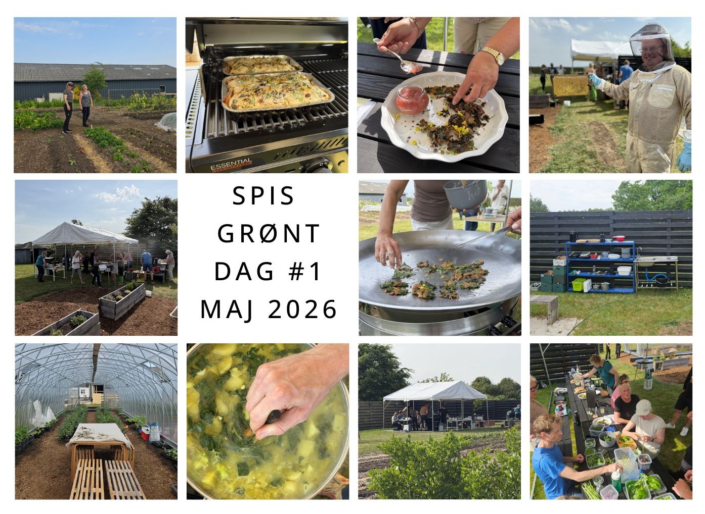 Spis Grønt Dag #1 i solskin